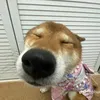 banhcuon_00