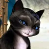 moony._sebastian