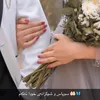 shahenxalil