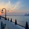 ams_qtr