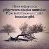 ihsan.dogru36_75