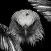 almalk.falcon