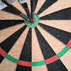 snakebite182