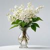 md.abdullah.al.ar85
