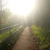kingtodeath1