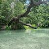 sunshinefl426