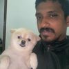 vikinesh391