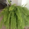 edithmastrianiura