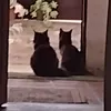 w3b_ju..kkkj