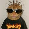 userneihm