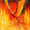amjad_shahin2022_phoenix