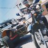 💎 Biker 593