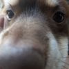 santi_7488