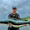 Đồ Câu Chính Hãng LK