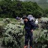 _ahmadsx