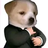 hahahapp6