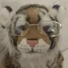 khzmrlls
