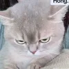 bhthanhdoi