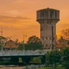 thanhnhan3126_