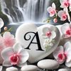 ali.khrma7