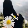 hiba_saflo