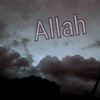 user4361630718143