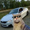 user7877937805946