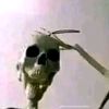 el_eskeleto34