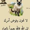 user918843844197