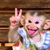 nickbts25