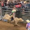 RowdyDowdy_BullRidersMob