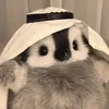 jos224__