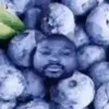 blueberrydonpollo5