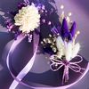 wwwtiktok.com.romanca