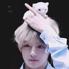 kemie_ark