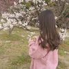 ma_al008
