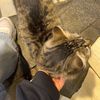 malak_226