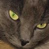 smokeylovesyouall