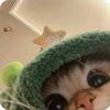 roadsnail_