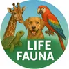 Life Fauna
