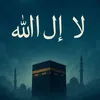 user19079781877517
