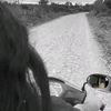 ari_loay
