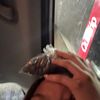 honnypoohhh_