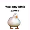 silly_goose0101