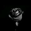 blackflower12206