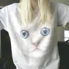 wwwraan