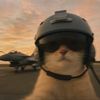 kucing.lepas_
