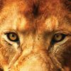 tazadaq4ever1619