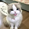 dgtruongkhoaa