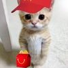 appleuser4475763